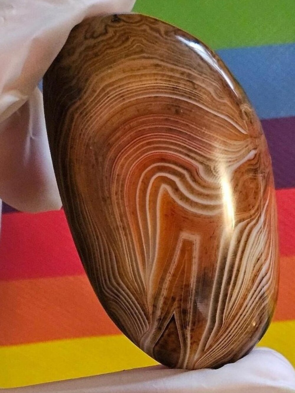 ✨️AAA XL Sardonyx Palmstone✨️ Beautiful Banding ✨️OOAK High Quality Crystal✨️